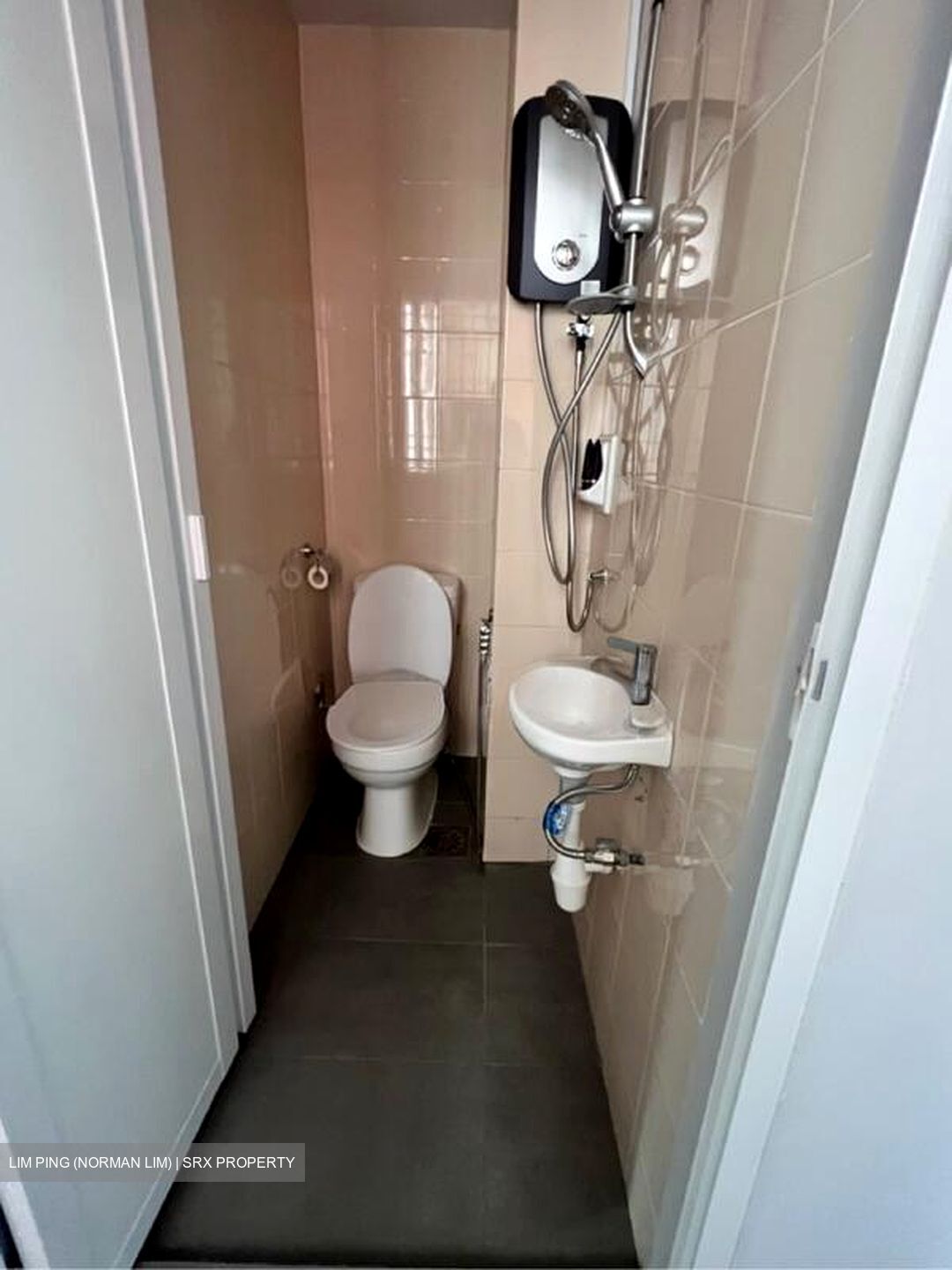 The Rivervale (D19), Condominium #513728411